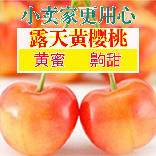 黄蜜水晶布鲁克斯山东大樱桃雷尼
