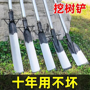 挖树铲洛阳铲铁锹锰钢挖坑神器挖沟洞起苗树根挖土专用锹挖笋工具