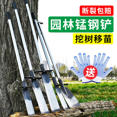 挖树专用锹锰钢铁锹起苗铲神器