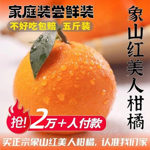 象山红美人柑橘家庭装