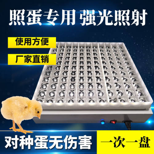 工厂直销整盘照蛋器孵化专用强光