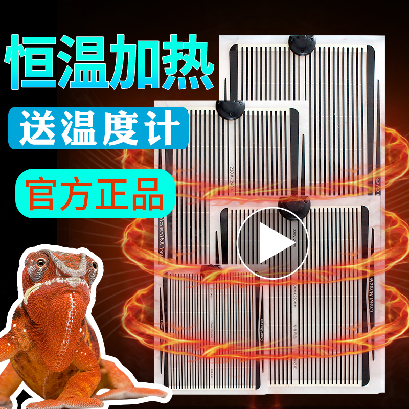 爬虫加热垫带温控刺猬守宫