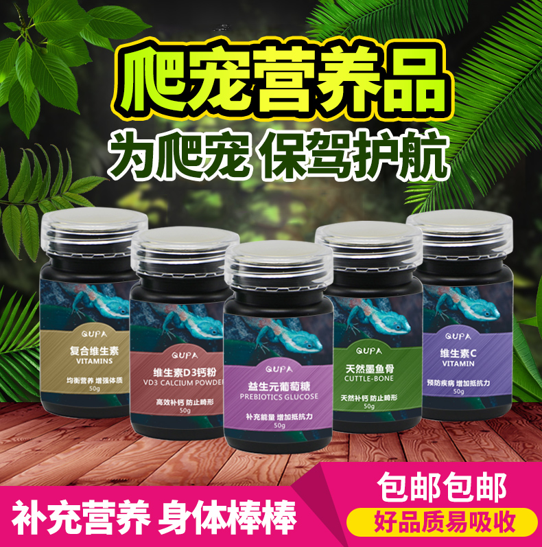 豹纹陆龟葡萄糖水补充体力爬虫