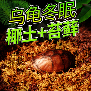 椰土乌龟冬眠用品保湿 备 苔藓爬虫宠物垫材沙蜘蛛蝎子保温土过冬装