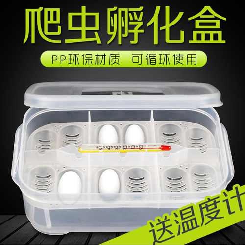 南石介质陆龟自然多功能孵化器