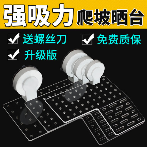 强吸盘，吸附不掉，深水养龟常备款