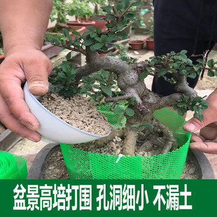 盆景花盆加高围挡土控根器高围打围片盆子底孔垫网盆底垫片围网