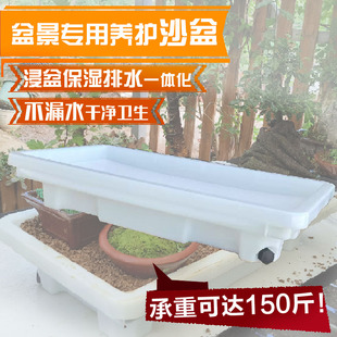 盆景专用养护沙盆浸盆保湿排水一体多功能盆栽养护台沙盘带接水盘