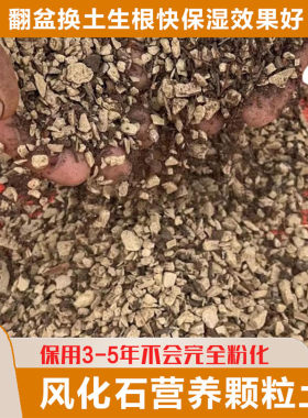 混合颗粒土翻盆换土用风化石配干松针腐叶3.85斤小包 买2包送1包