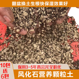 混合颗粒土翻盆换土用风化石配干松针腐叶3.85斤小包 买2包送1包