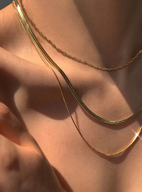 Choker Gold Necklace欧美蛇骨链长款项链多层叠戴项链金色锁骨链