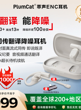2025新款翻译耳机实时同声翻译器多国语言离线对话翻译AI降噪耳机