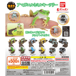 现货万代日本正版 生物大图鉴 树蛙 牛奶树蛙 青蛙 指环 手办扭蛋