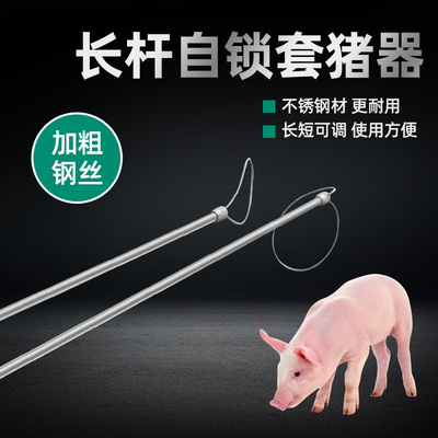 不锈钢套猪器猪用保定器猪嘴套索杆养殖场设备畜牧牛羊打针抓猪器