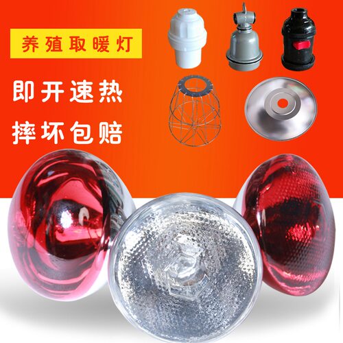 10个装畜牧保温灯养殖加热灯泡仔猪小鸡用红外线取暖防水防爆节能
