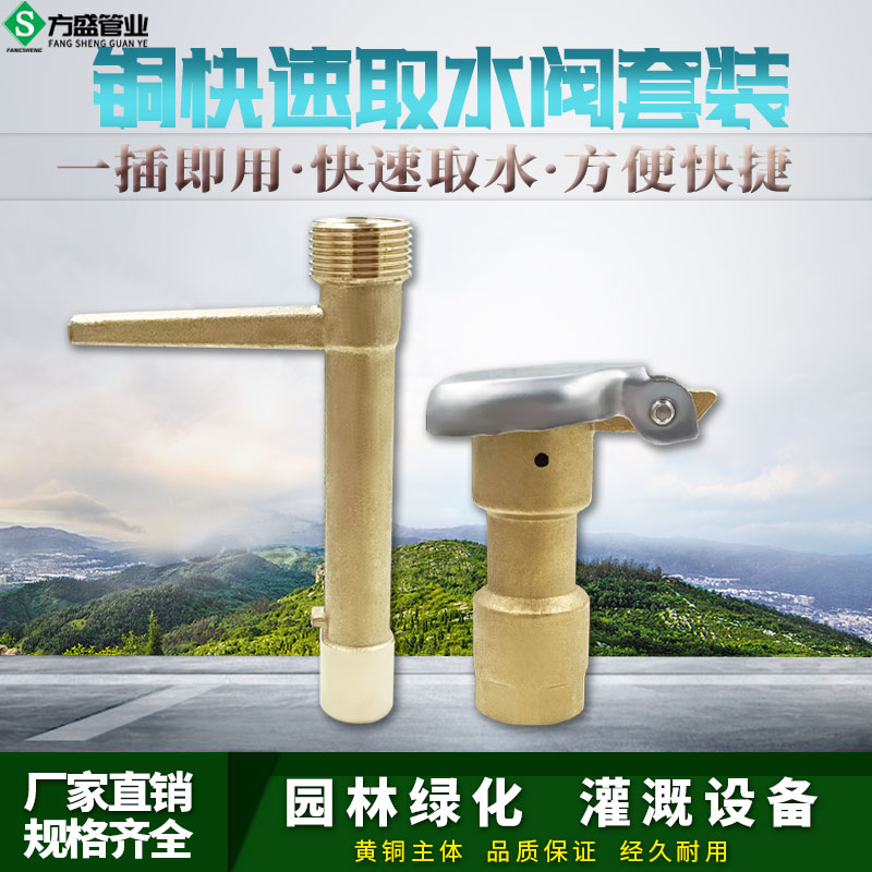 黄铜快速取水阀6分DN20草坪园林绿化铜取水器钥匙杆洒水栓1寸DN25,鲜花速递/花卉仿真/绿植园艺,浇水接口/取水阀/配件,淘宝优惠券,粉丝福利购,淘宝优惠卷
