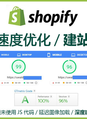 shopify速度优化建站在线商店打开速度优化PageSpeed Insights