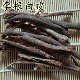 野生李根皮中药材 包邮500克 野生李根白皮 甘李根白皮 正品根皮