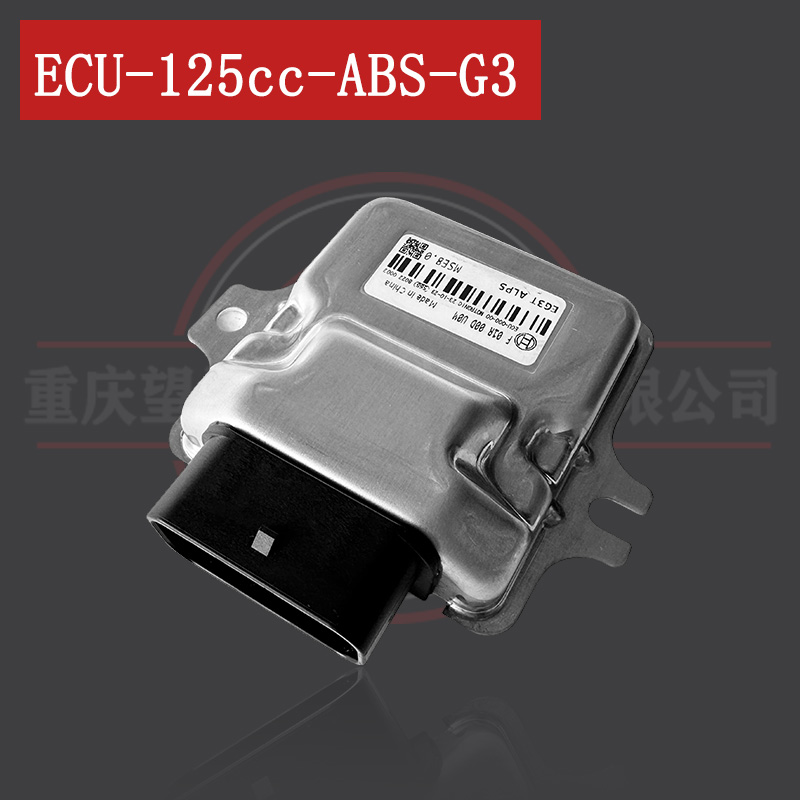 天地游侠-布雷斯通电喷ECU