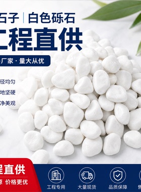 白石子白色小石头雨花石鹅卵石石头花盆栽天然小石头多肉铺面装饰