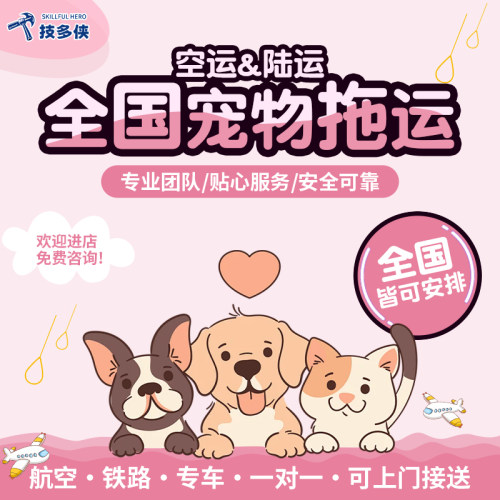 全国宠物托运服务快递邮寄猫咪狗狗长途运输人宠同行专车接送上门