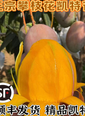 【顺丰发货】四川攀枝花凯特芒果新鲜水果香甜多汁（放软再吃）