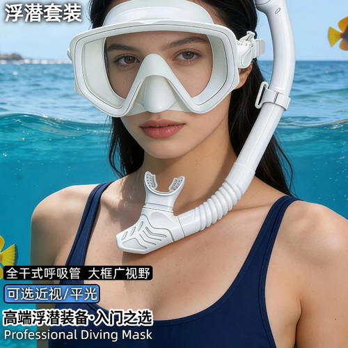 浮潜三宝潜水镜全干式呼吸管套装
