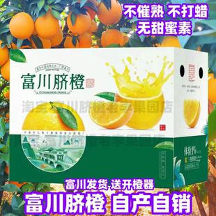 富川脐橙富川橙子10斤富川脐橙高山水果广西富川农家自种包邮脐橙