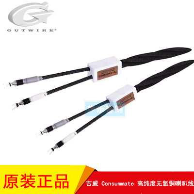 旗舰版发烧音响至尊喇叭线