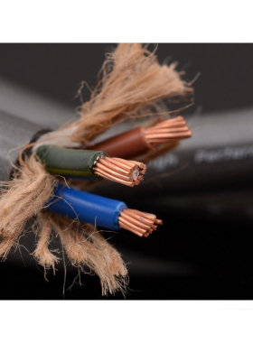 法国 Xsymphony 交响乐 音响入墙电源专线