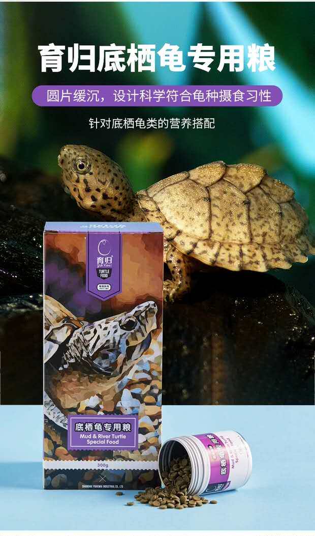 育归剃刀麝香窄桥红面头盔深水