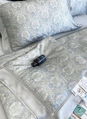 深睡眠100S支进口LF兰精天丝莱赛尔双面空调冰丝夏凉被薄被子床单