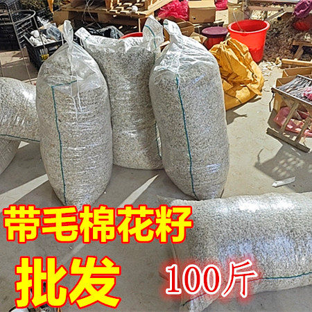 带毛棉花籽批发100斤婚庆用品红白事用品批发