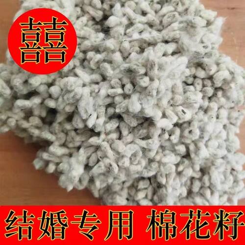 棉花籽结婚用带毛棉花子散装当年新籽棉花籽