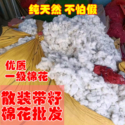 带籽棉花批发一级散装纯棉花