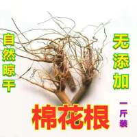 棉花根自然晾干过冬棉花根食用中草药土黄氏农家种植纯根头带须