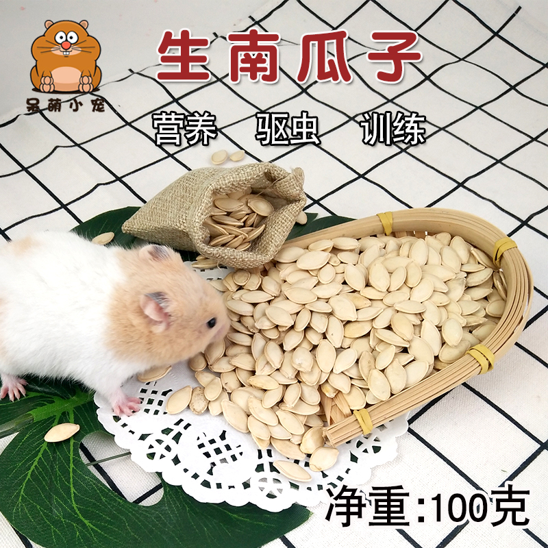 仓鼠零食瓜子营养糖尿病金丝熊