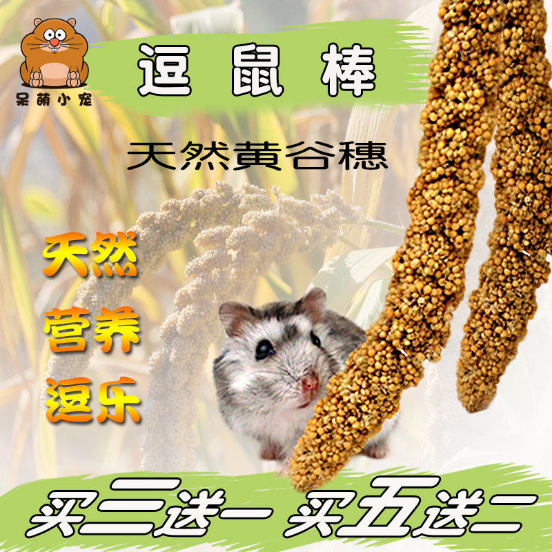 仓鼠爱吃小零食逗鼠棒麦穗天然黄谷穗躺手亲近粮金丝熊带壳黄谷子,宠物/宠物食品及用品,鼠粮,淘宝优惠券,粉丝福利购,淘宝优惠卷