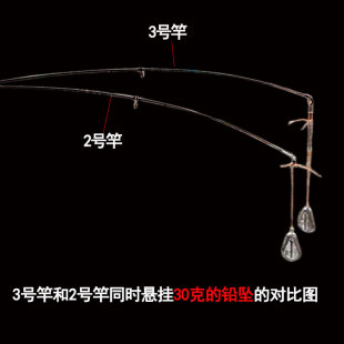 2号软尾小矶竿短节碳素超轻矶钓竿软稍手海两用灵敏小海竿小继竿