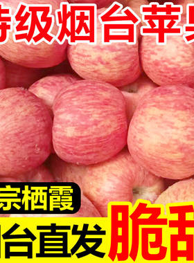 正宗山东烟台苹果栖霞红富士苹果绿色10新鲜水果孕妇脆甜整箱包邮