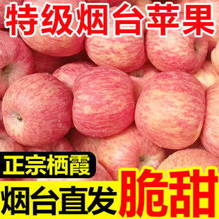 正宗山东烟台苹果栖霞红富士苹果绿色10新鲜水果孕妇脆甜整箱包邮