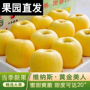 正宗特级烟台维纳斯苹果孕妇水果奶油当季新鲜现摘黄苹果整箱包邮