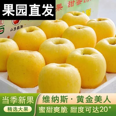 正宗特级烟台维纳斯苹果孕妇水果奶油当季新鲜现摘黄苹果整箱包邮