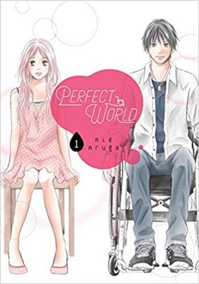 【现货】英文原版 Perfect World 1完美世界1 浪漫爱情故事小说女性爱好读物漫画书籍
