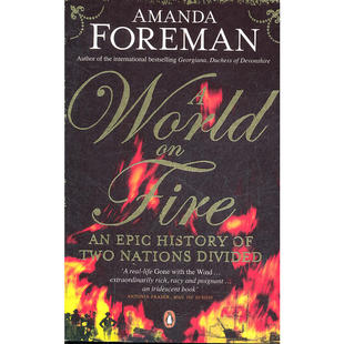 【特价清仓】英文原版 A World on Fire着火的世界 美国内战故事历史史诗经典文学书籍
