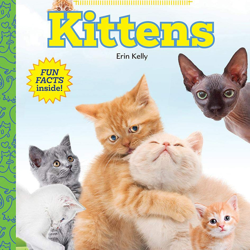 【现货】英文原版 Kittens 小猫 幼儿早教亲子互动问答 少儿启蒙英语视觉单词动物科普儿童图画书籍