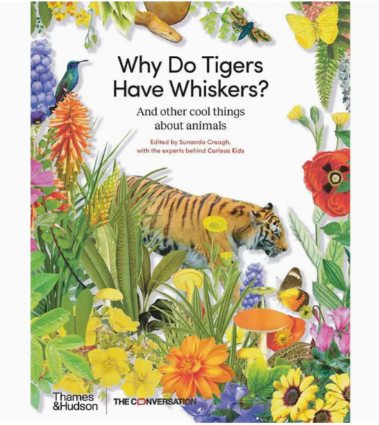 have whiskers 为什么老虎有胡须 thames & hudson the conversation