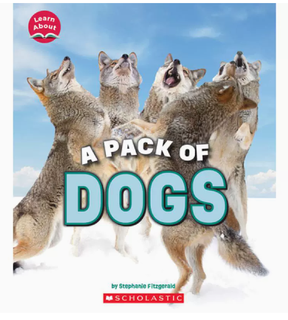 【预售】英文原版 a pack of dogs 一群狗 scholastic stephanie
