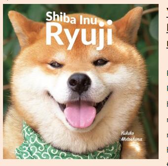 shiba inu ryuji柴犬隆二 柴犬的生活方式摄影作品集治愈系礼物艺术