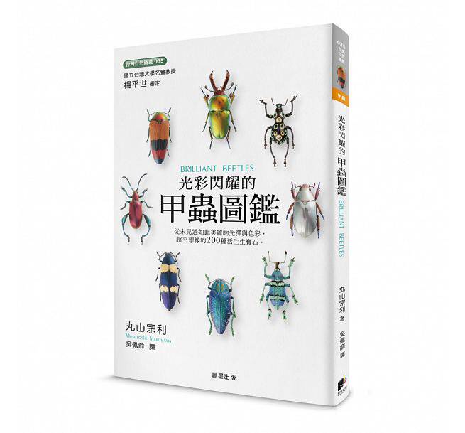 【预售】台版 光彩闪耀的甲虫图鉴 基础认知自然科普百科书籍